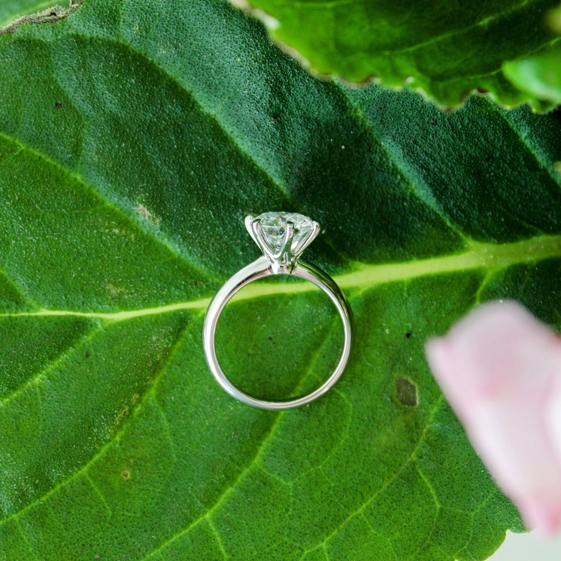 Dreamy Diamond Ring - Sternvoll Jewelry