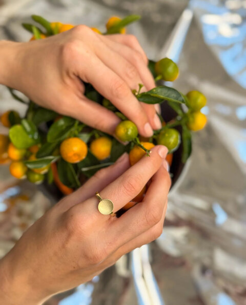 Sternvoll × Local Jewellers